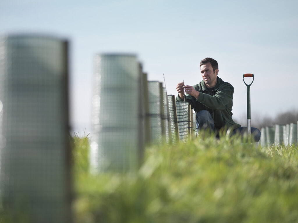 Agriculture person with shovel on farm tending to the land