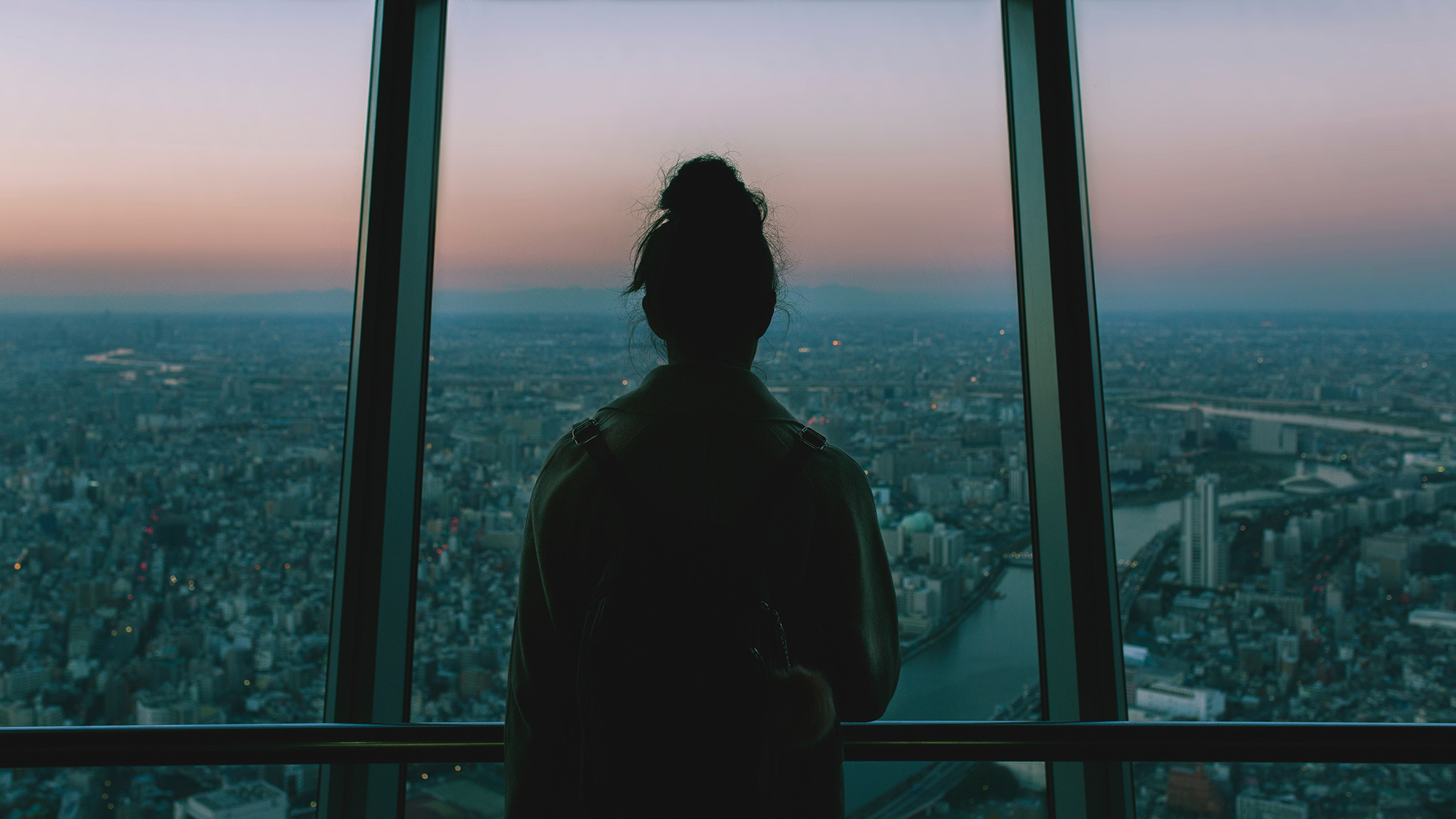 Person looking through a glass window over a city landscape